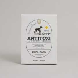 성년기 종합영양제(Antitoxi)